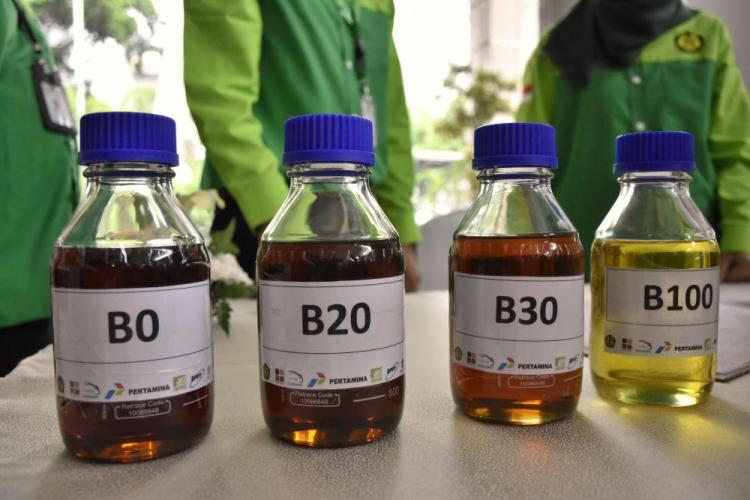 Amankan Target Mandatori B50, APROBI Desak Penambahan CPO Minimal 4 Juta KL