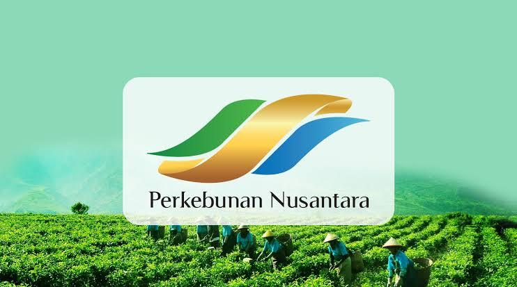 Pendapatan Holding Perkebunan Nusantara Melejit, Didorong Penjualan Produk Sawit