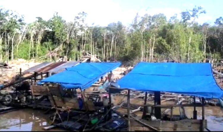 Sawit, Karet, dan Rotan, Alternatif Selesaikan Persoalan PETI di Gunung Mas