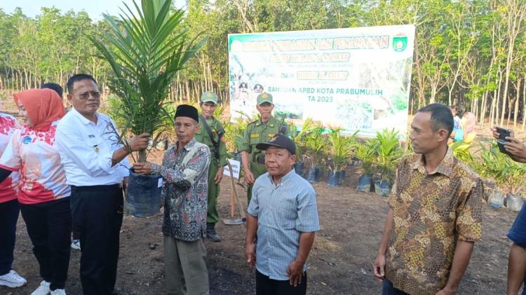 Penuhi Janji Kampanye, Bibit Sawit dan Karet Dibagikan ke Warga Prabumulih