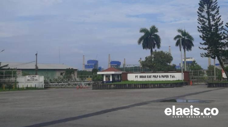 PT IKPP di Siak Disorot, Limbah hingga Minimnya Tenaga Kerja Lokal Dikeluhkan, 3.000 Pemuda Pancasila akan Turun ke Jalan
