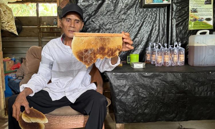 Dari Sawit Bisa Panen Madu Premium, Modal Sedikit Untung Gede