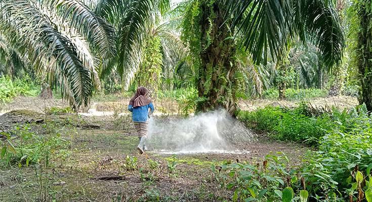 Kementan Ungkap Formula Rahasia Bikin Tanaman Super Subur Tanpa Kimia
