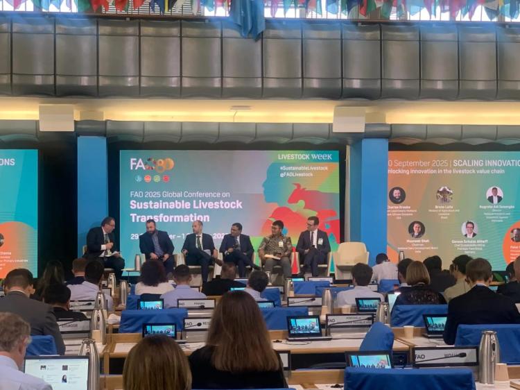 FAO Puji Inovasi BRIN Soal Peternakan Sapi di Lahan Sawit, Masuk 50 Terbaik dari 72 Negara