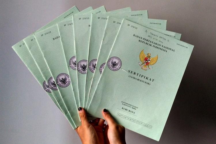 SKT Bukan Bukti Kepemilikan, Petani Sawit Harus Urus Lahan ke BPN