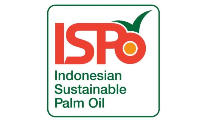 Standar Sawit Indonesia Di-upgrade, Apa Saja Kewajiban Baru di ISPO 2025?