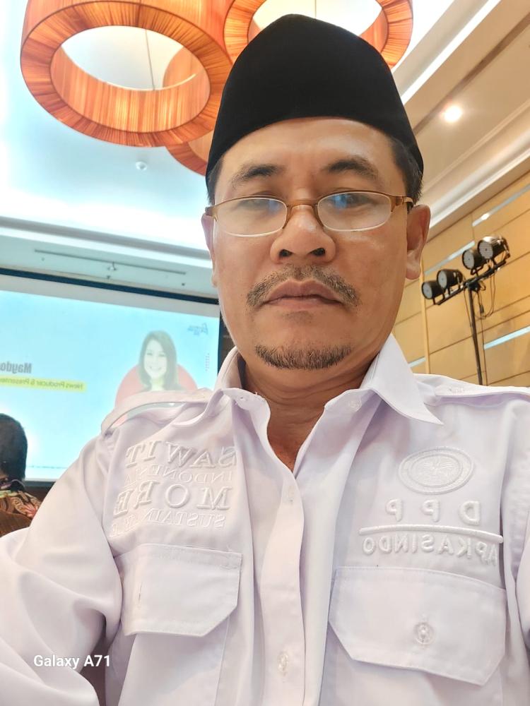 Sawit Tertuduh Ketika Sejarah Deforestasi Aceh Dilupakan