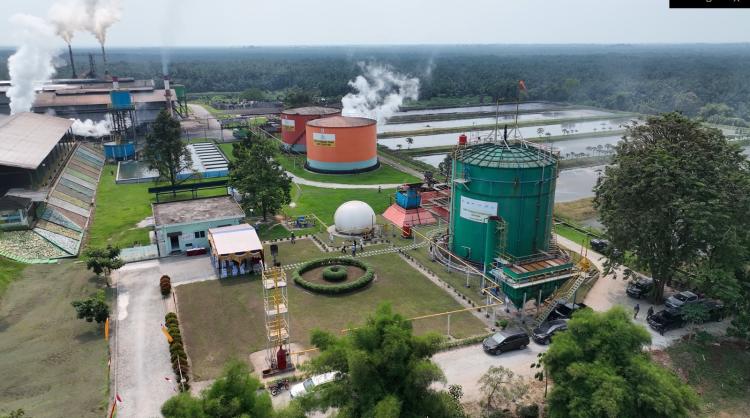 ROA PalmCo Tembus 7,9 Persen, Sinyal Penguatan Kinerja Aset BUMN Perkebunan