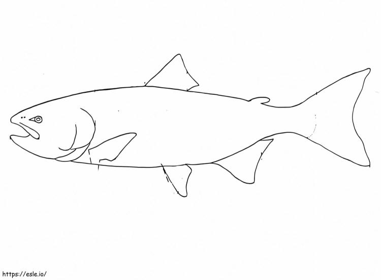 Salmon: Ikan Paling Koplak atau Paling Cerdas di Dunia?
