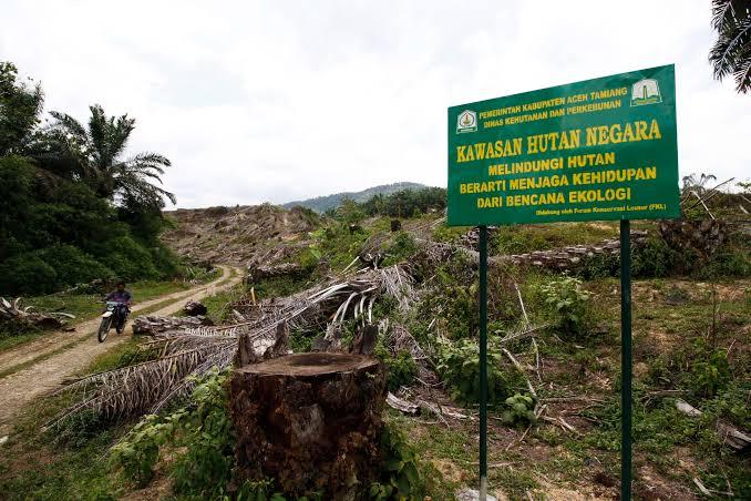 Klaim Sawit Ilegal Capai 4 Juta Hektare Disanggah POPSI, Begini Faktanya