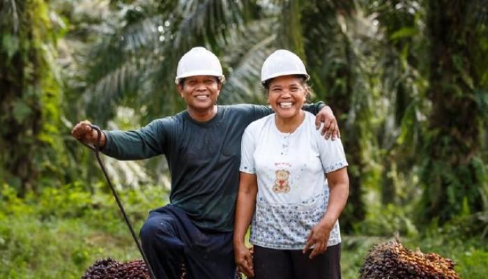 Sawit Serap 19,5 Juta Tenaga Kerja, Jadi Tulang Punggung Ekonomi
