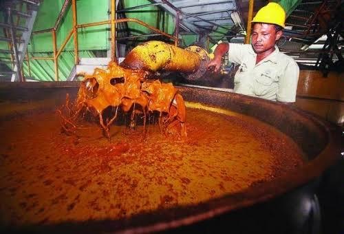 Importir Raksasa India Tahan Pembelian, Pasar Sawit Dunia Panik?