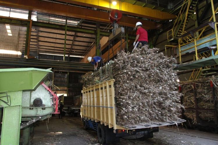 Pabrik Rafinasi Wajib Tanam Tebu, Bikin Industri Ketar-Ketir