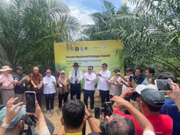 Pelepasan Serangga Penyerbuk: Menghidupkan Kembali Lompatan Produktivitas Sawit Indonesia