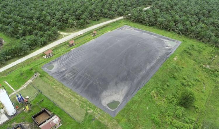 Dua PLTBg Ini Jadi Andalan PTPN IV PalmCo Tekan Biaya Energi di Tengah Gejolak Global