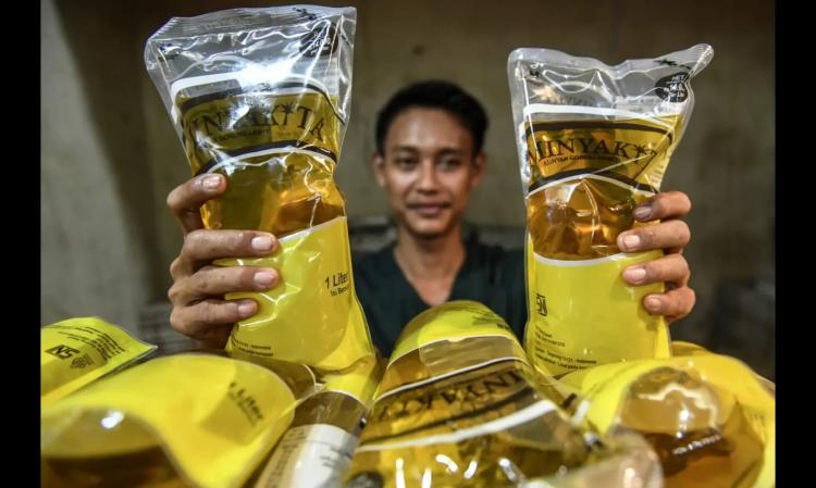 Naikkan DMO Minyakita ke 65%, Pemerintah Dianggap Abaikan Risiko Besar