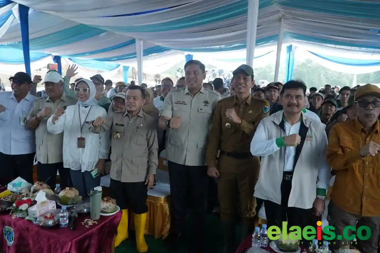 Kejar Swasembada, Al Haris Dorong Percepatan Cetak Sawah Rakyat di Jambi