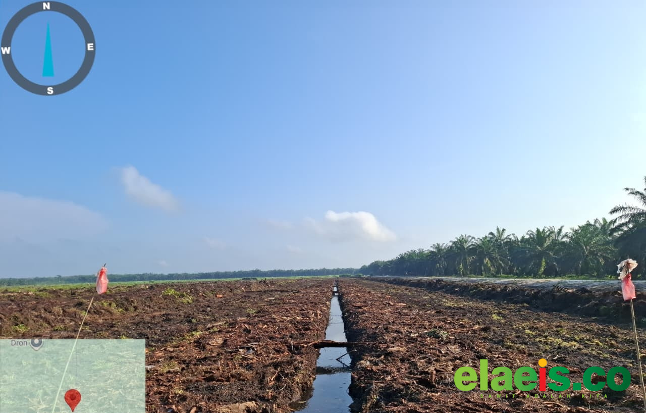Siaga Hadapi Peremajaan, Koppsa-M Maksimalkan Lahan Tak Produktif
