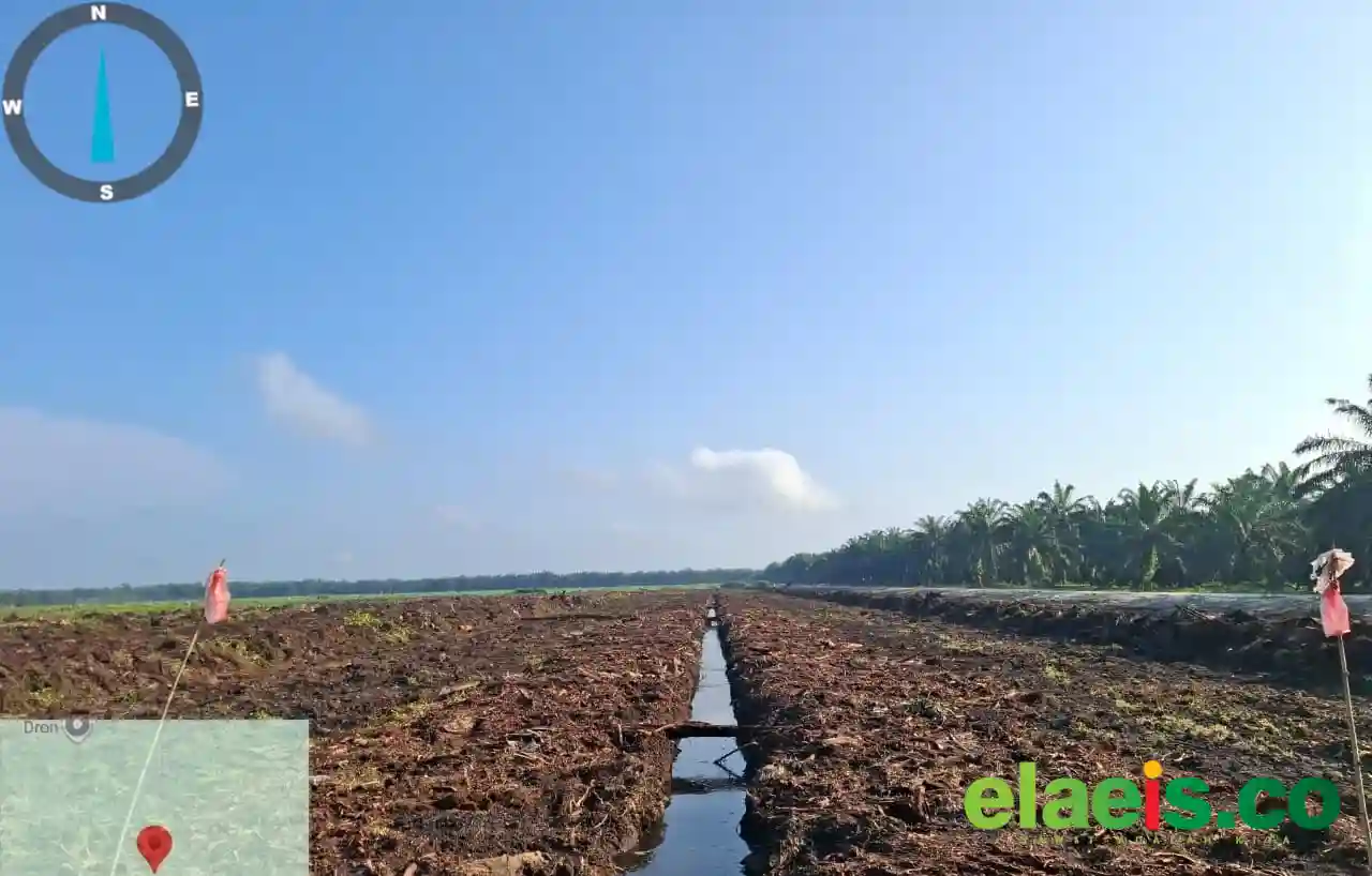 Siaga Hadapi Peremajaan, Koppsa-M Maksimalkan Lahan Tak Produktif