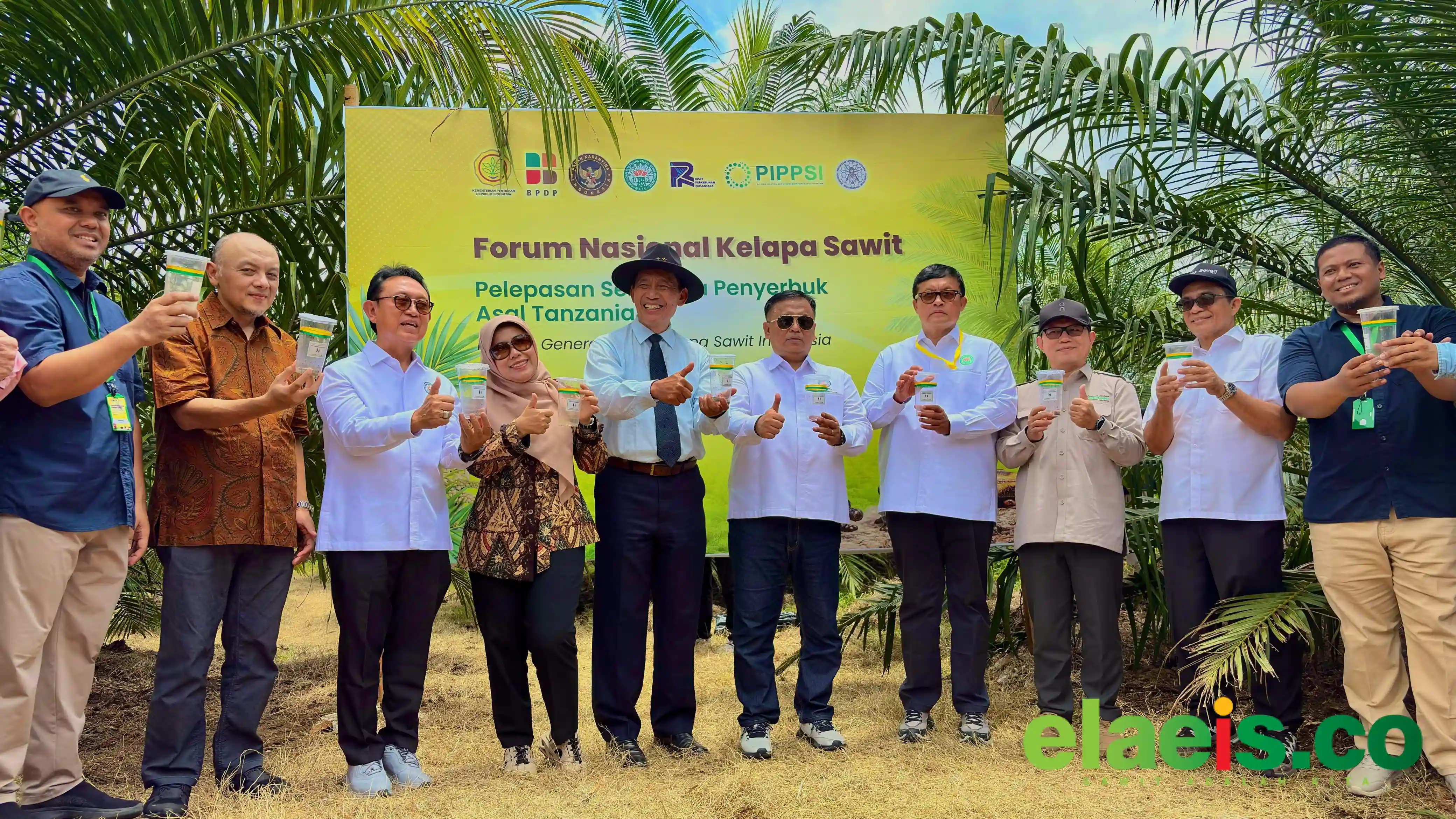 Serangga Penyerbuk dari Afrika Diuji di Simalungun, Upaya PalmCo Tingkatkan Produktivitas Sawit