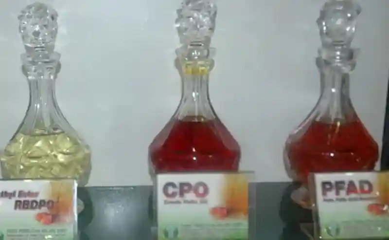 Harga CPO Turun Tipis ke Rp15.575/Kg, Bursa Malaysia Ambruk Hampir 3%