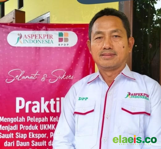 Aspek-Pir Dukung Mandatori PSR, Namun Perlu Penyederhanaan Persyaratan - Asosiasi Petani Kelapa Sawit Perusahaan Inti Rakyat (Aspek-Pir) mengaku mendukung mandatori Peremajaan Sawit Rakyat (PSR). Sebab bertujuan meningkatkan produktivitas perkebunan kelapa sawit.