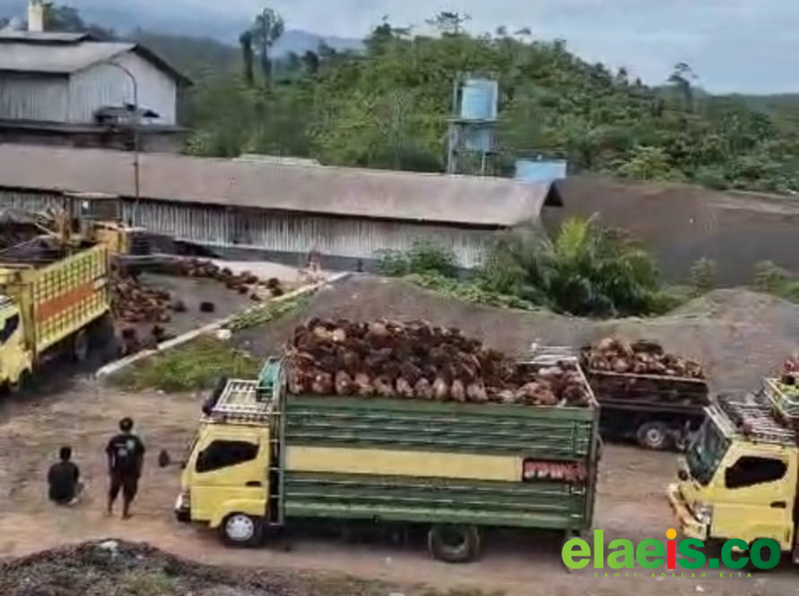 Tata Kelola Amburadul, Pemerintah Sulbar Dinilai Tak Peka