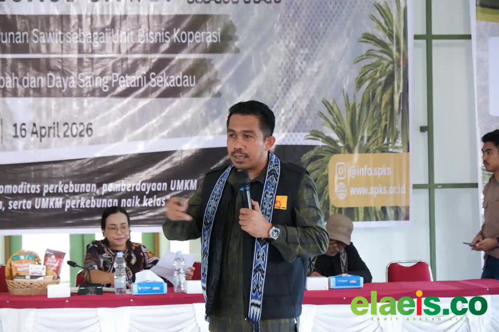 Harga Sawit Petani Turun hingga Rp1.000/Kg, SPKS Soroti Skema Ekspor CPO BUMN