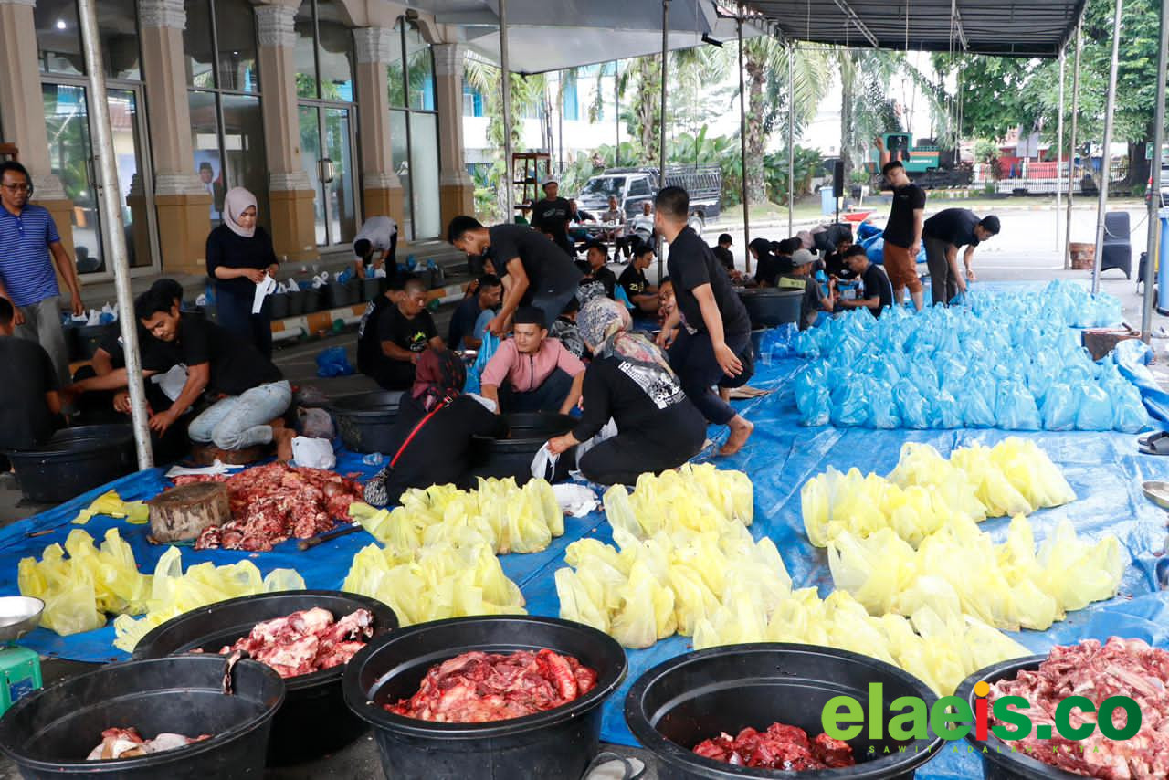 150 Ton Daging Kurban PTPN IV PalmCo Mengalir ke Pelosok Negeri - Sebanyak lebih dari 150 ton daging kurban didistribusikan PTPN IV PalmCo ke puluhan kabupaten dan kota di Indonesia pada momentum Hari Raya Idul Adha 1447 Hijriah. Penyaluran dilakukan di berbagai wil