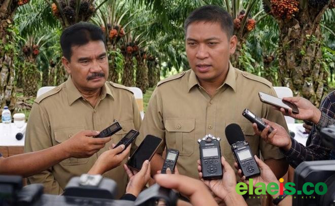 Bos Sawit Resah Terkait Kebijakan Ekspor Komoditas, Wamentan Bilang PT DSI Hanya Pengawas, Tak Ambil Untung - Wamentan menegaskan PT DSI hanya pengawas dan tidak mengambil keuntungan.