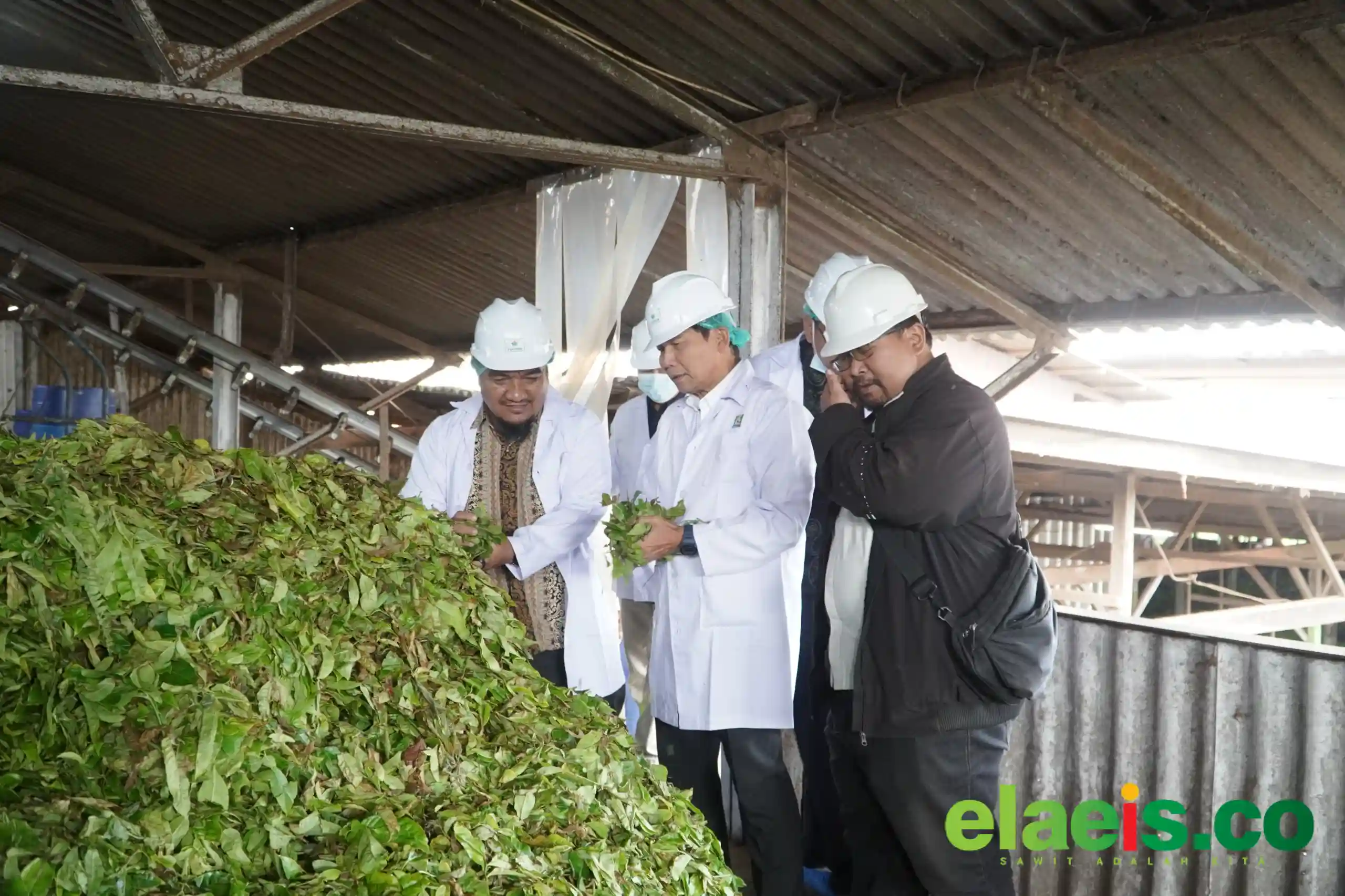 Dewan Komisaris PTPN IV PalmCo Tinjau Keandalan Operasi dan Dukung Peningkatan Kualitas Produksi di Kebun Danau Kembar dan Kayu Aro