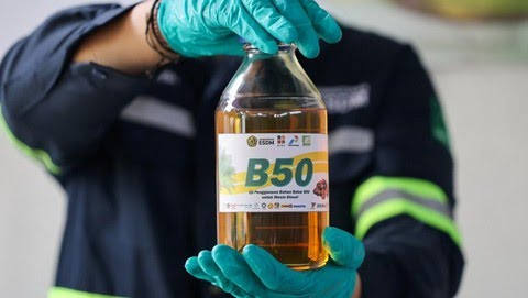B50 Disebut Bisa Ubah Indonesia Jadi Raja Energi Sawit Dunia, Ini Dampak Dahsyatnya - Program B50 disebut bisa mengubah Indonesia jadi raja energi sawit dunia.