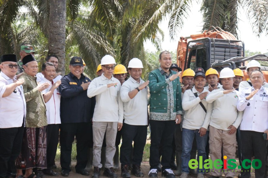 Dibuka Bupati, 405 Hektar Kebun Sawit KUD Karta Bersama Diremajakan - Seluas 405 hektar kebun kelapa sawit milik Koperasi Unit Desa (KUD) Karya Bersama resmi mulai diremajakan. Peremajaan ini dibuka langsung oleh Bupati Indragiri Hulu (Inhu) Ade Agus Hartanto, Rabu (10/