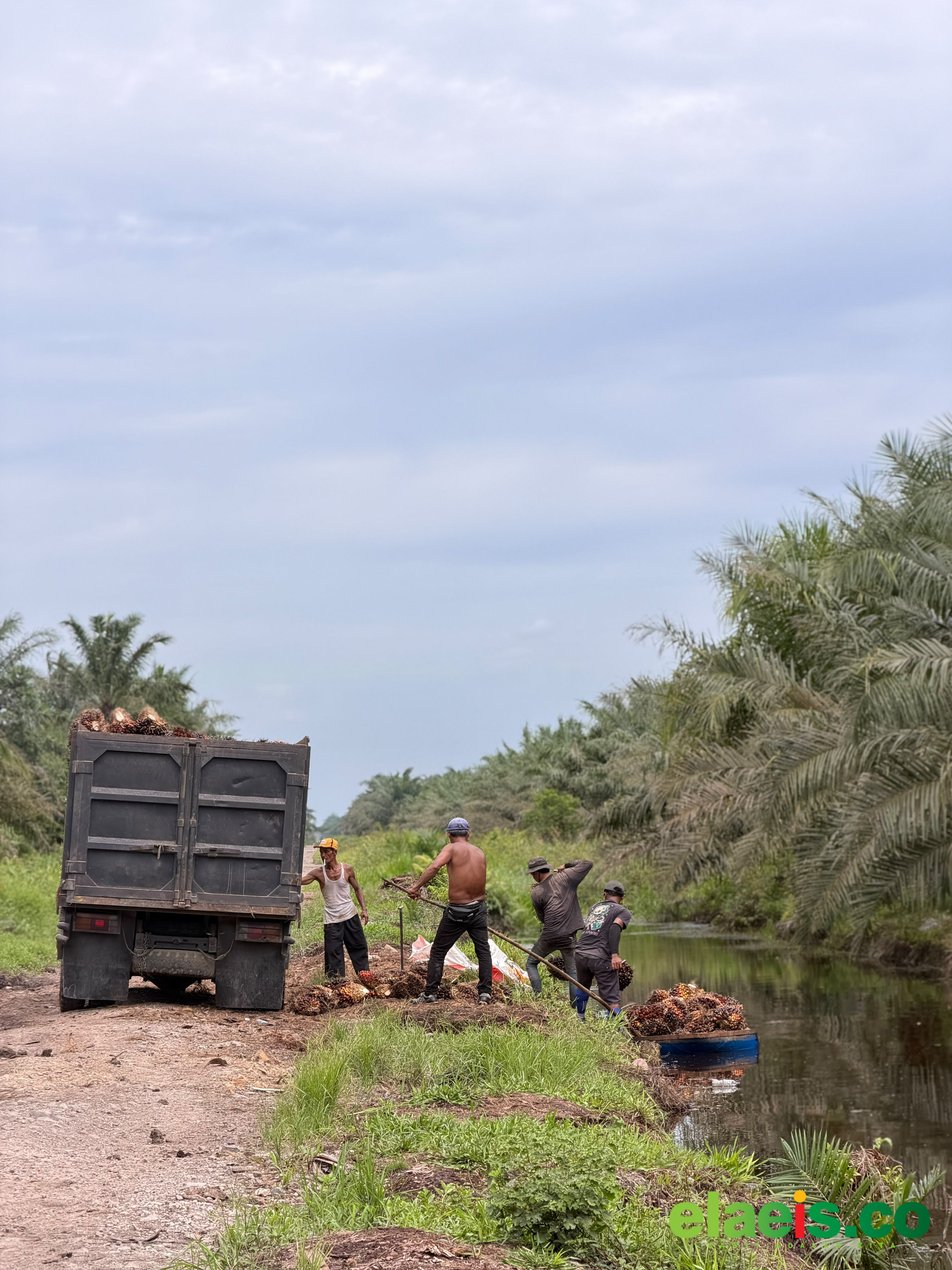 Lima PKS Yang Dilaporkan ke KPPU Bukan Anggota Gapki - Rabu (10/6) Anggota DPRD Pesisir Selatan (Pessel) melaporkan adanya dugaan pelanggaran yang dilakukan oleh lima pabrik kelapa sawit (PKS) ke Komisi  Pengawas Persaingan Usaha (KPPU). Dimana PKS terseb