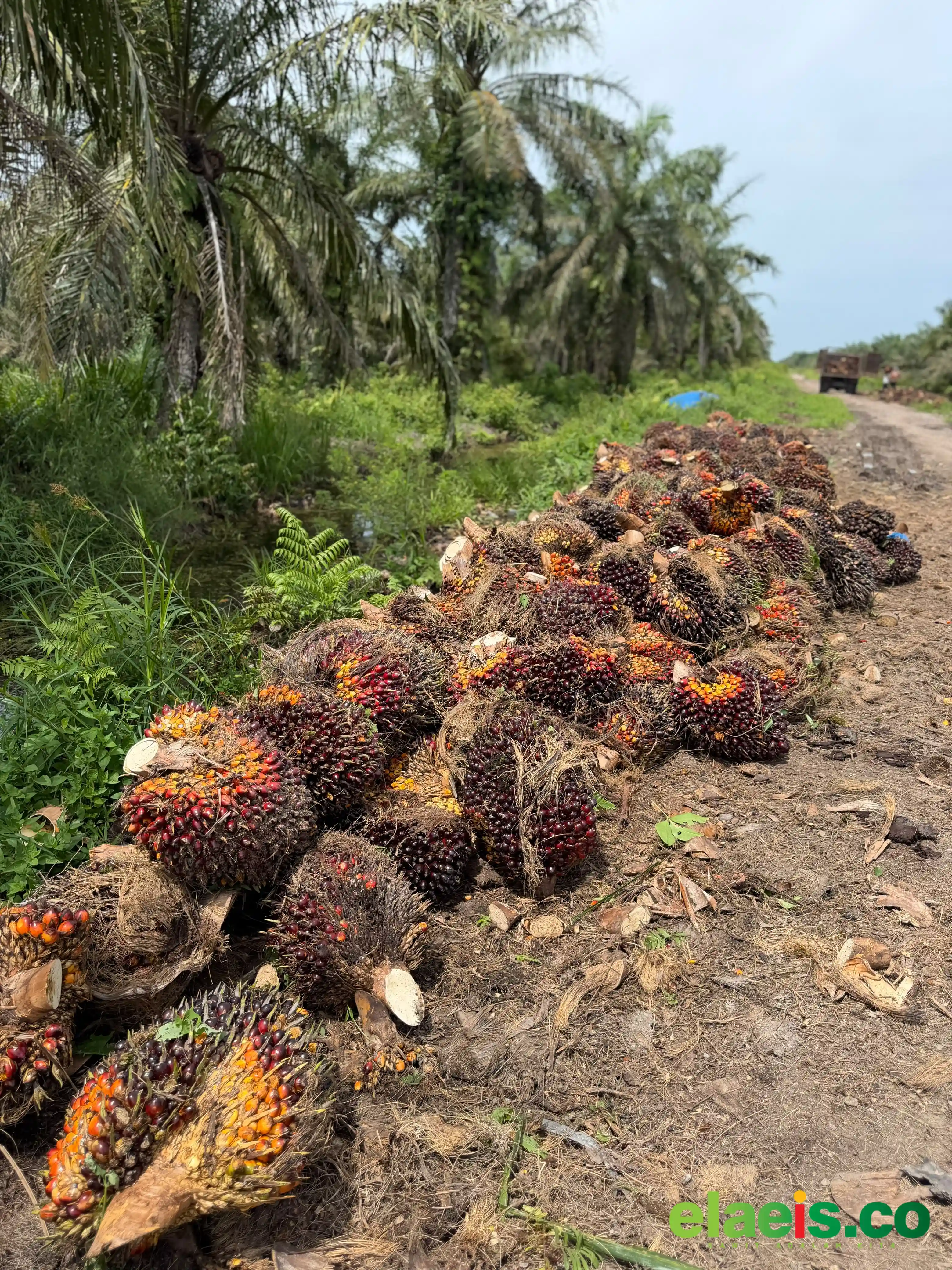 Petani Dukung Langkah Pelaporan Lima PKS di Pessel ke KPPU