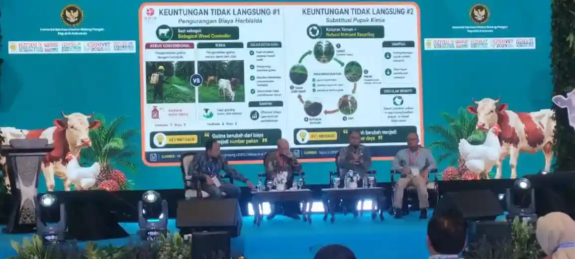 16 Juta Hektare Sawit Bisa Jadi Mesin Produksi Daging Nasional!