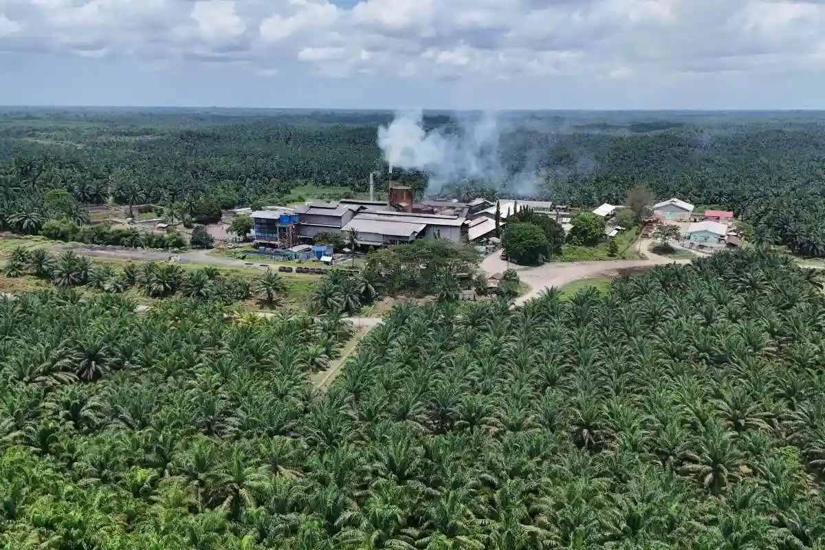 Dewan Minyak Sawit Malaysia Ramal CPO Tembus di Atas RM4.400 per Ton Juli 2026, Ini Pemicunya!