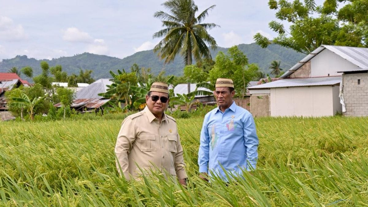 Presiden Prabowo Resmi Umumkan B50 Juli 2026: RI Siap Stop Impor Solar! - Program biodiesel berbasis sawit ini ditargetkan hentikan impor solar dan perkuat energi RI.