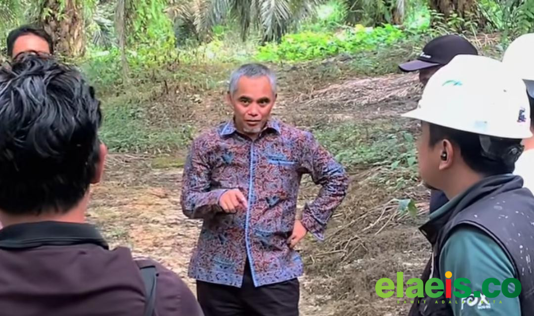 Region Head PTPN IV Regional IV Jambi-Sumbar Tinjau Operasional Kebun Tanjung Lebar