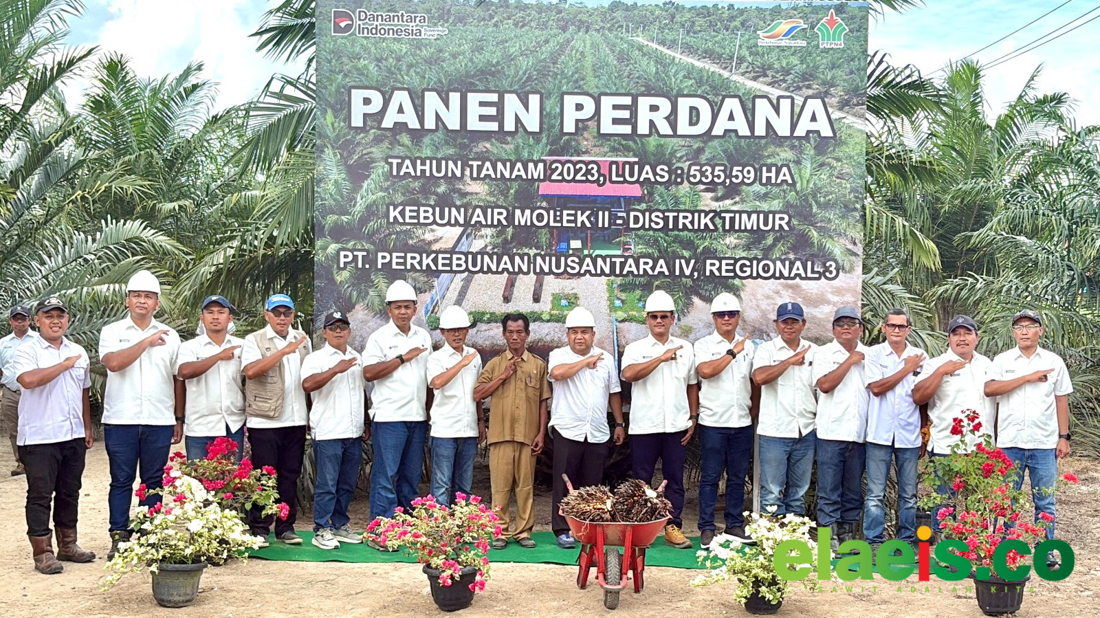 Tembus Usia 2,5 Tahun, Sawit Muda PTPN IV Regional III Catat Produksi di Atas Standar Nasional - PTPN IV PalmCo melalui entitasnya di Bumi Lancang Kuning, Riau, kembali mengukir catatan positif kala tanaman sawit muda hasil peremajaan kebun inti di sejumlah kebun PTPN IV Regional III berhasil mem