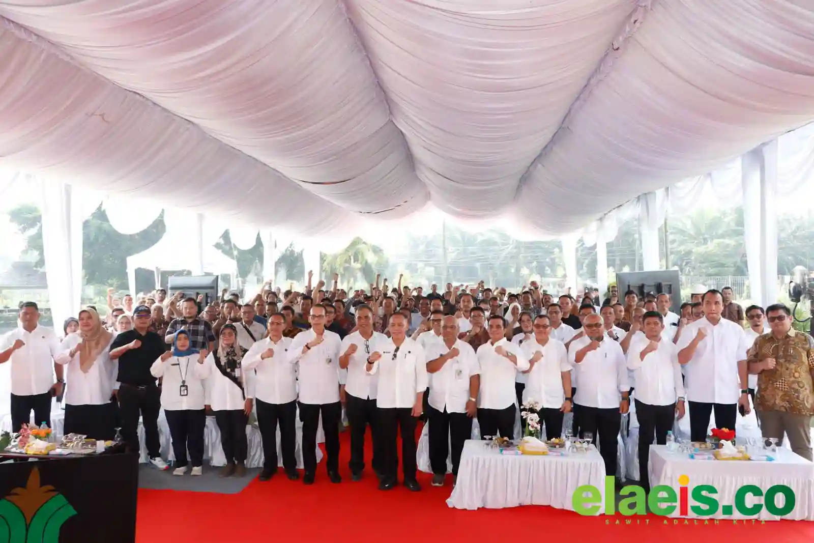 Dukung B50 dan Ketahanan Pangan, PTPN IV PalmCo Serap 1,73 Juta Ton TBS Petani
