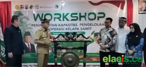 Apkasindo Kaltara Tingkatkan Kapasitas Pengelolaan Koperasi Sawit