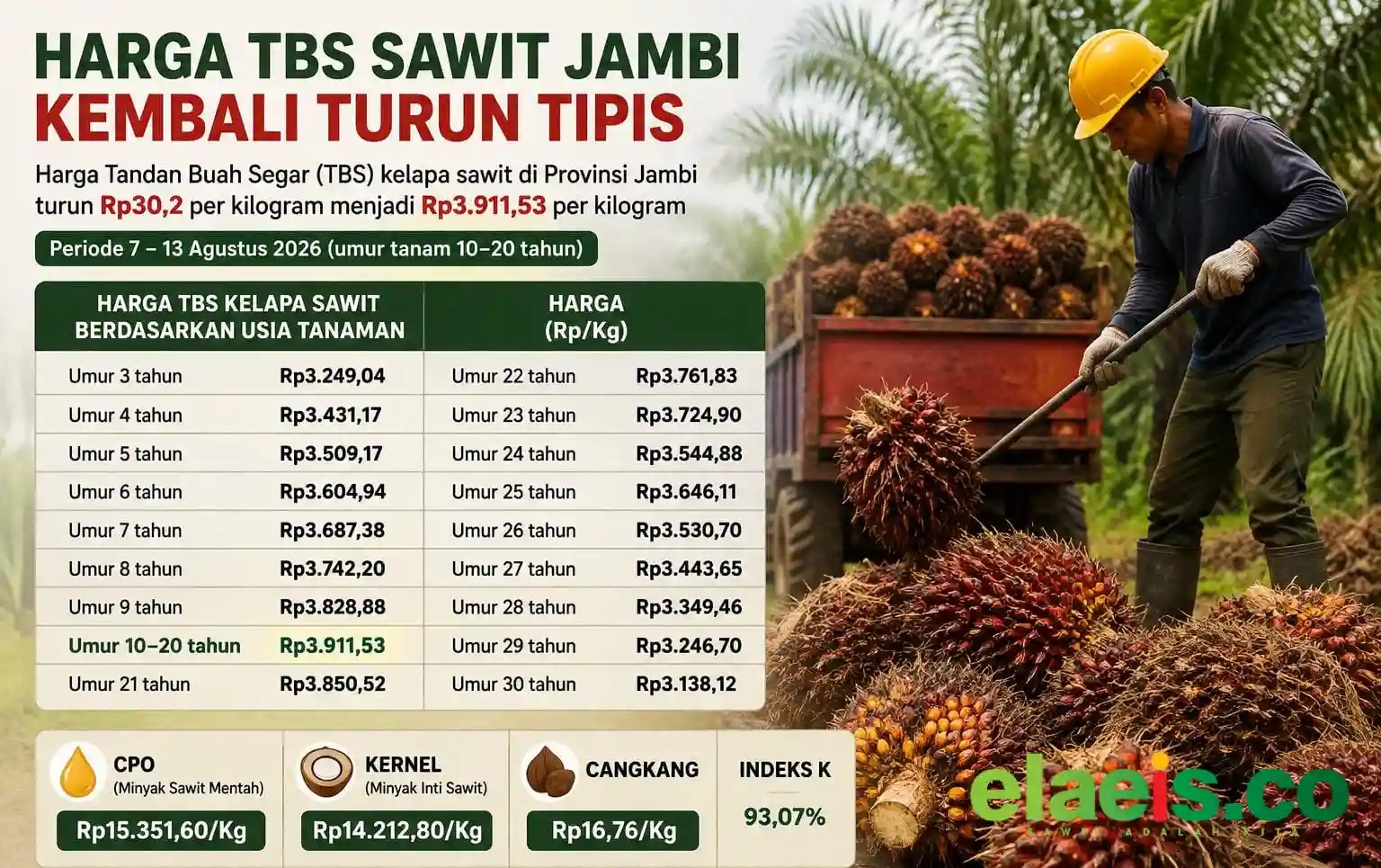 Lesu, Harga TBS Sawit Jambi Turun Menjadi  Rp3.911,53 per Kilogram