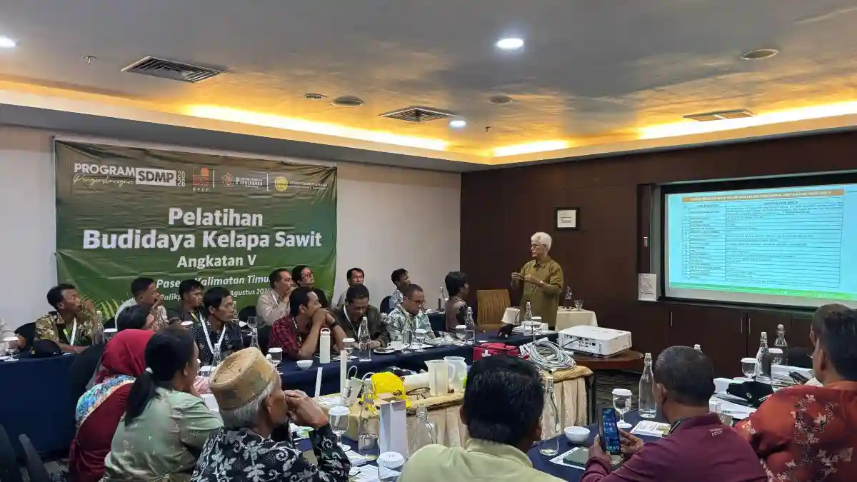 AKPY, BPDP dan Ditjenbun Pertajam Pengalaman Pekebun Paser dengan Ilmu dan Praktik Budidaya Sawit