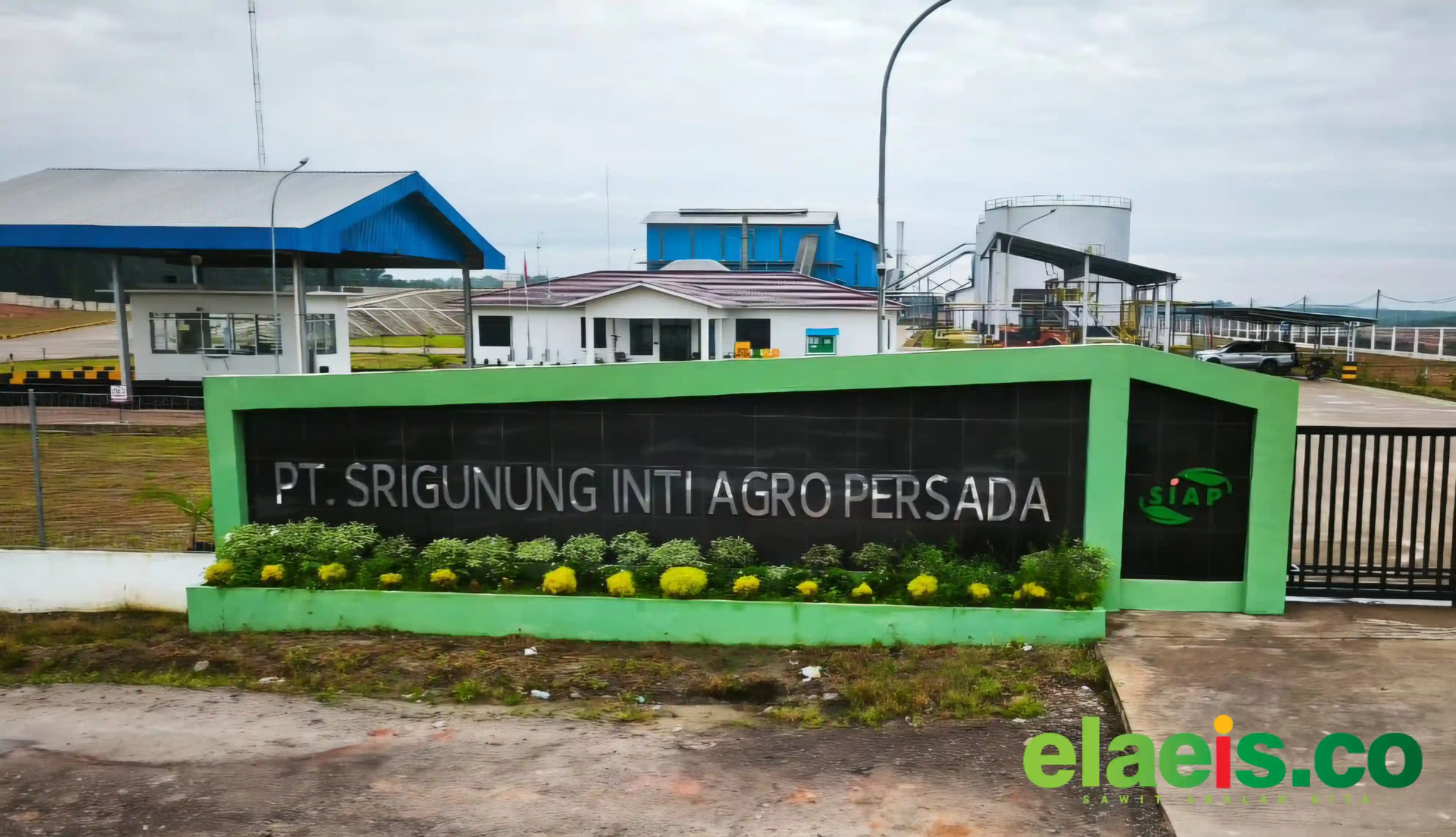 Petani Bangun PKS, Kunci Sawit Berkelanjutan