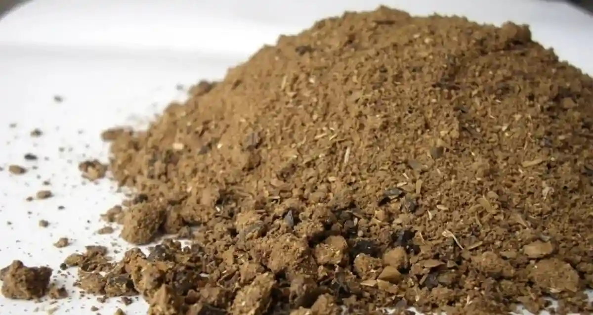 Palm Kernel Meal Ternyata Bisa Jadi Pakan Ternak Murah Bernutrisi