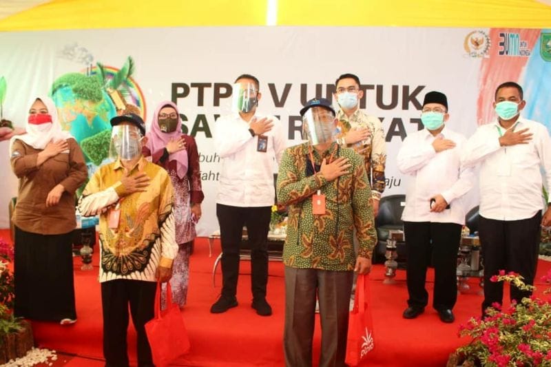 Kiat PTPN V Pertahankan Ekonomi Petani Plasma yang Direplanting