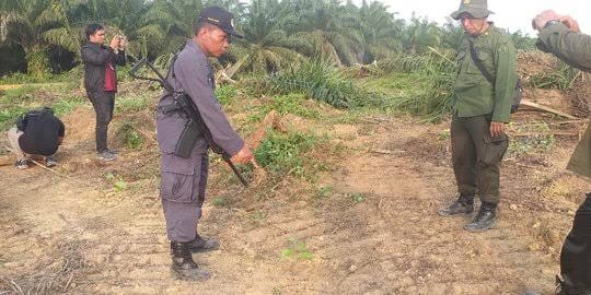 Konflik Lahan di Gondai, Pakar Lingkungan Sebut Negara Lemah