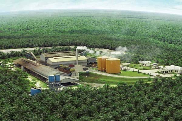 Sepakat dengan KPK, Pemda Sorong Cabut Izin Empat Pabrik Sawit