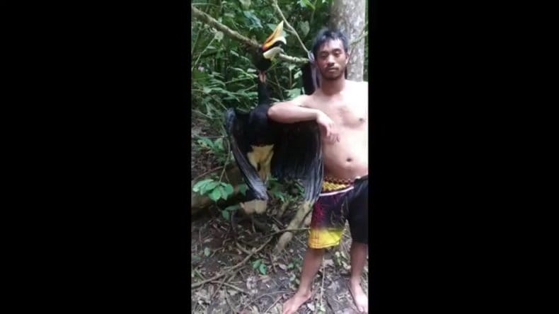 Pamer Burung Langka Hasil Buruan, Lajang ini Ditangkap Polisi
